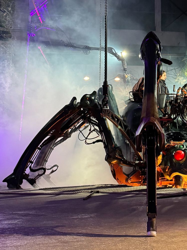 Photograph by Аlina BRAZIUL