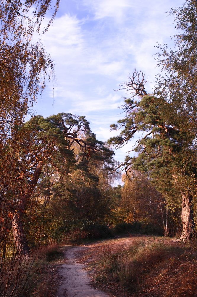 Взаимное притяжение