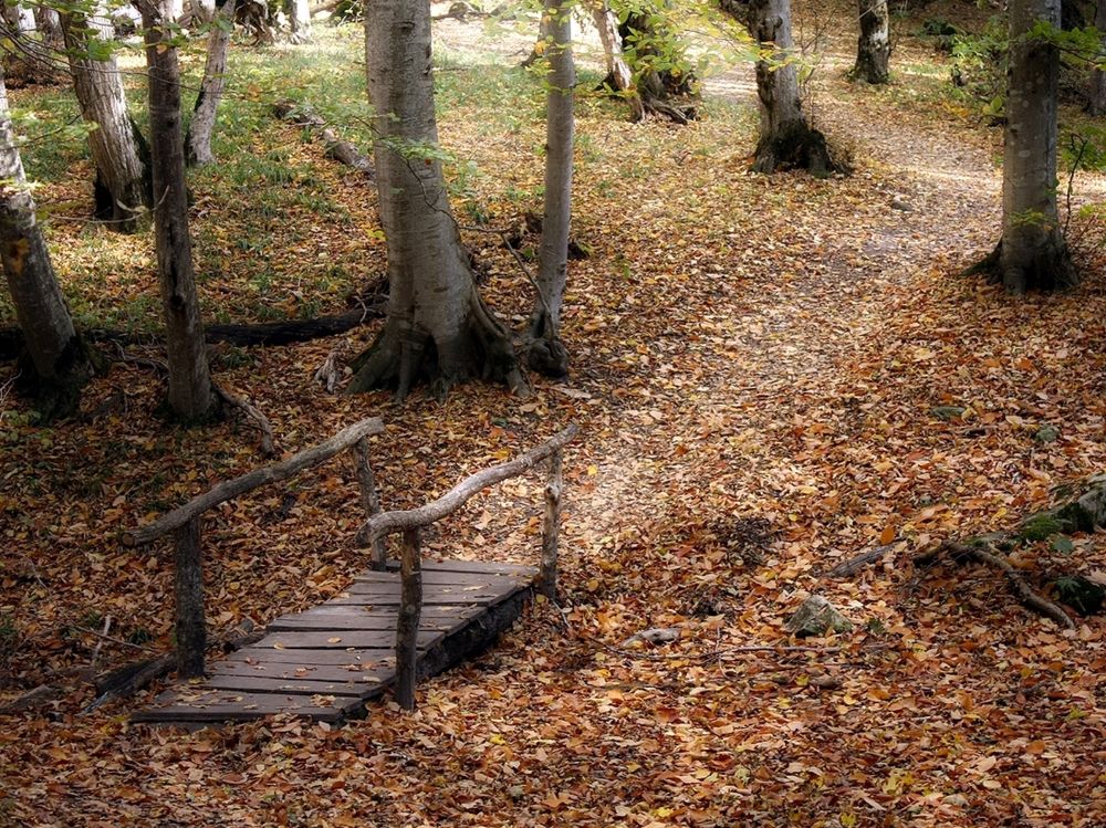 Photograph by Алексей Коношонкин