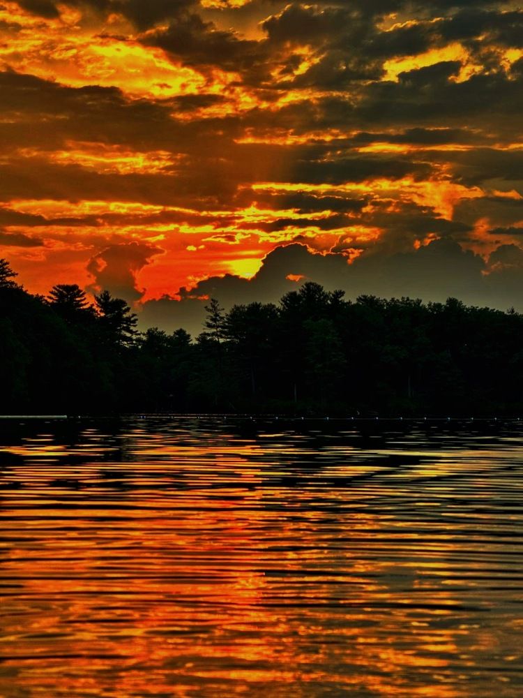 Фотография автора Olga Andriuc