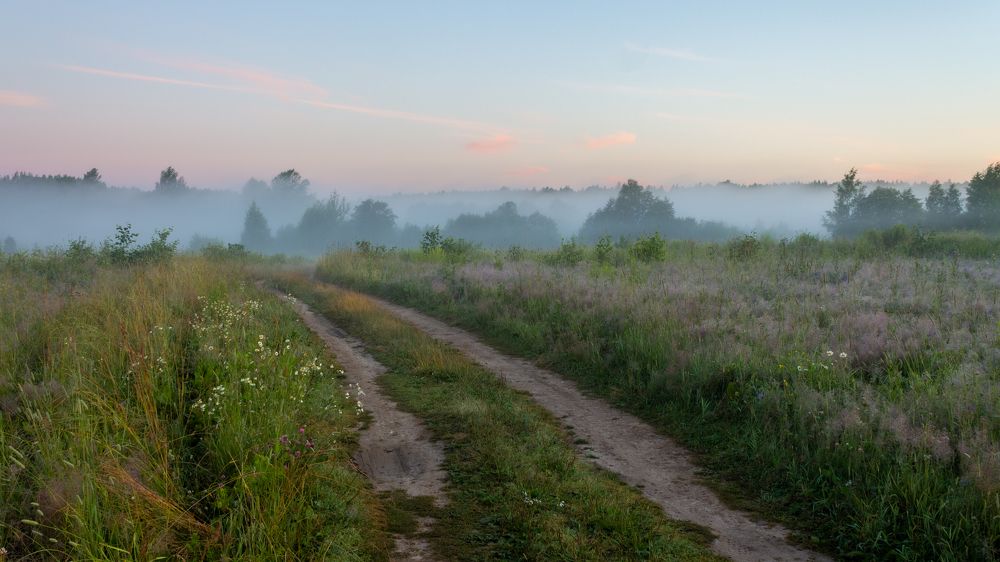 Photograph by Vera Komarova