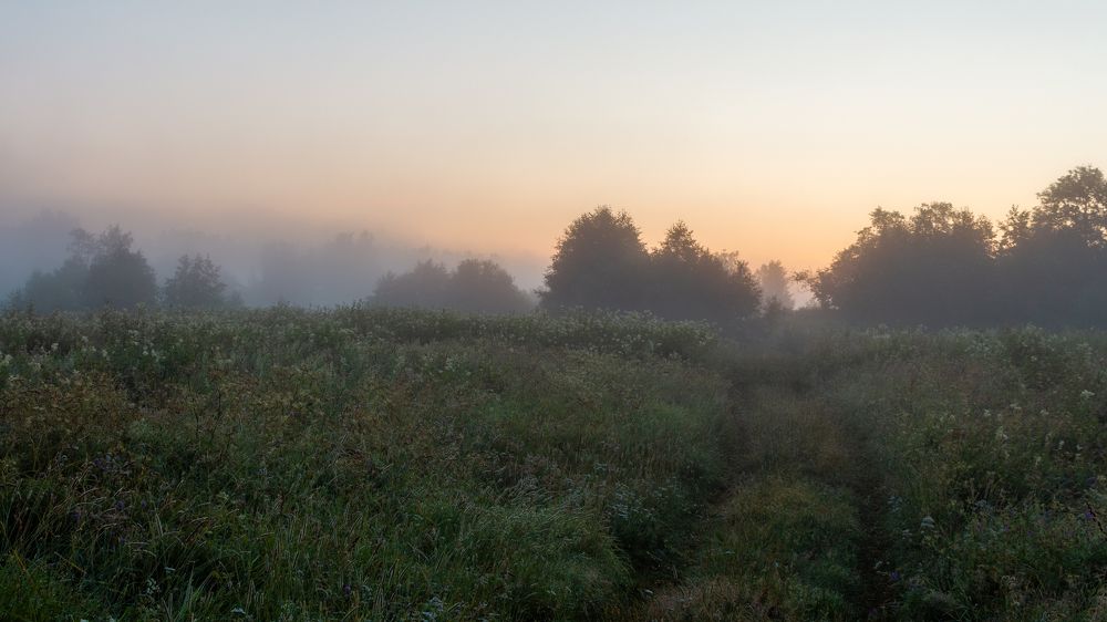 Photograph by Vera Komarova