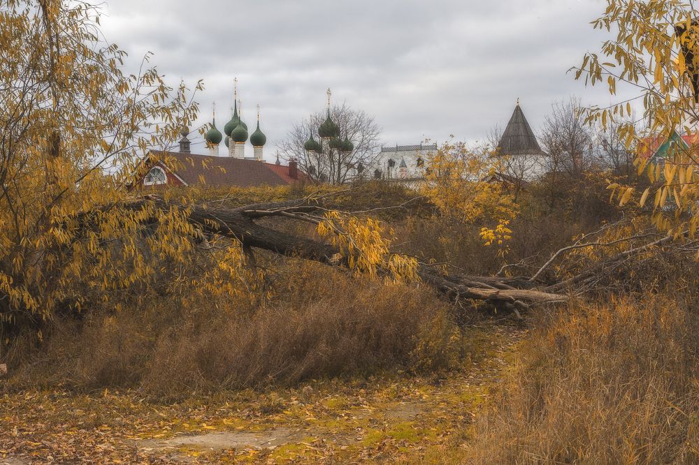 Фотография автора Анатолий