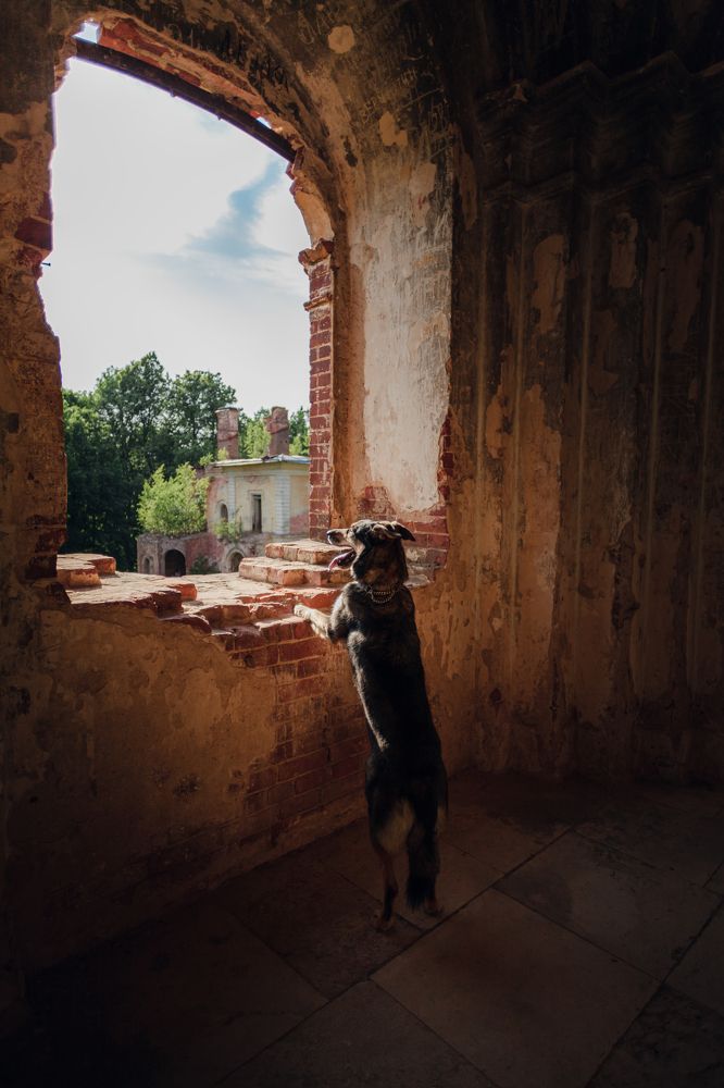 Photograph by Татьяна Степанова