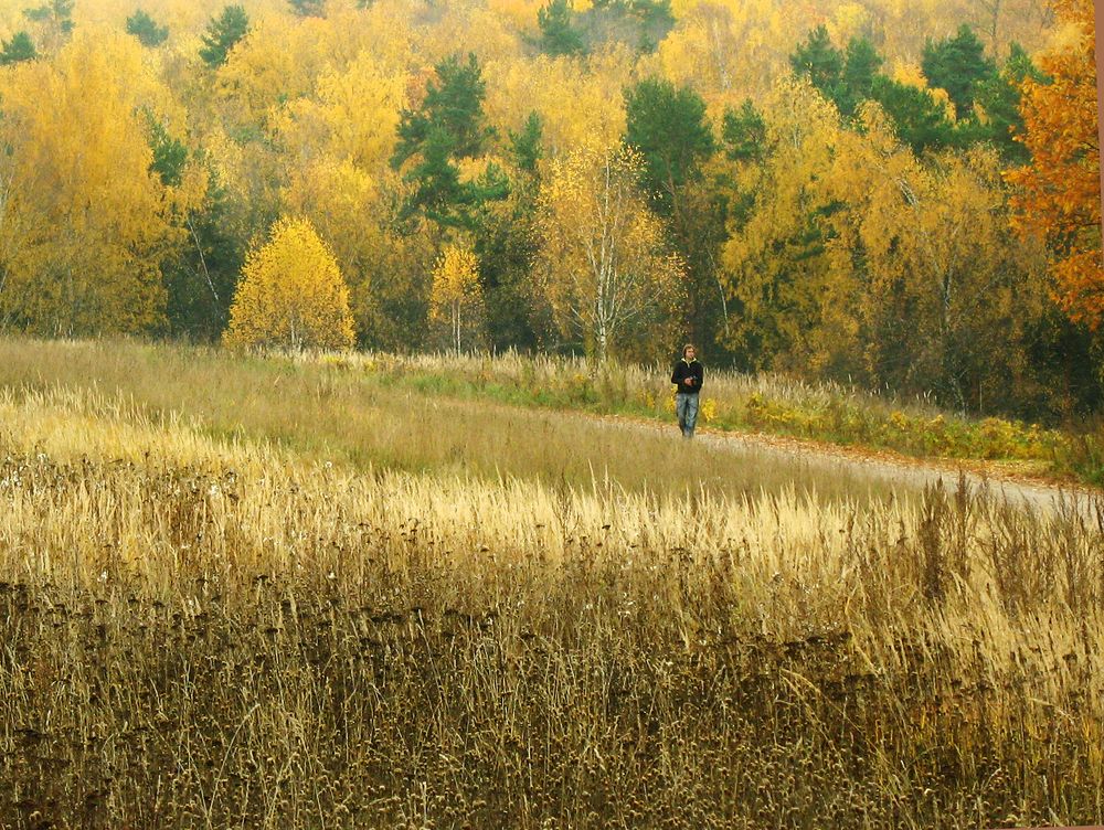 Photograph by Ионова Татьяна