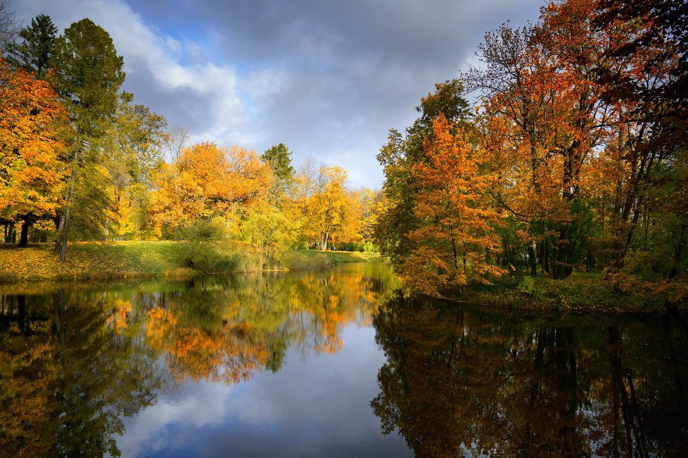 Photograph by Дьяченко Алёна