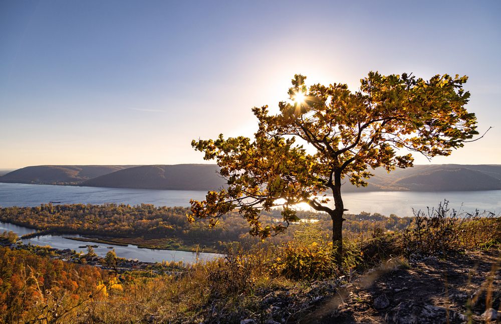 Photograph by Сергей Максимов