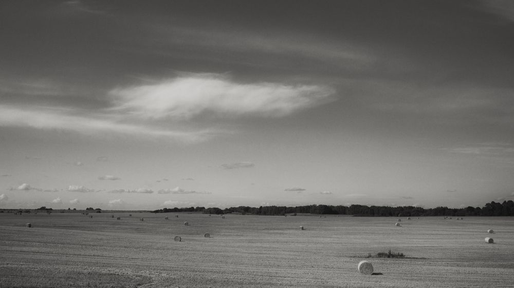 Photograph by Александр Капитоненко