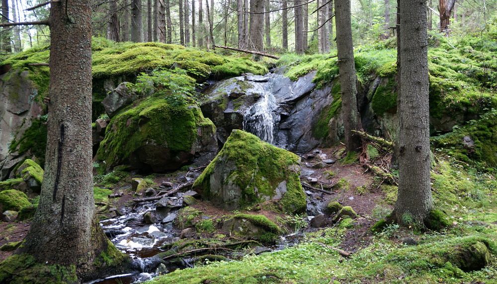 Photograph by Блюмина Елена