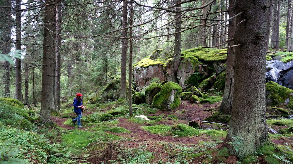 Photograph by Блюмина Елена