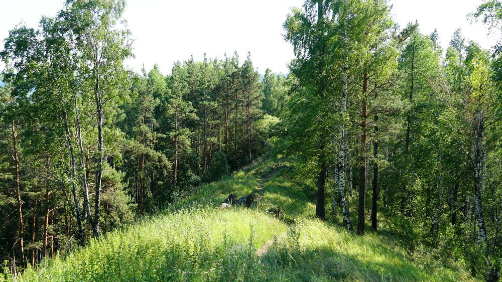 Photograph by Блюмина Елена