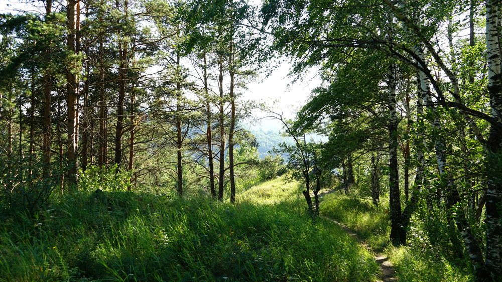 Photograph by Блюмина Елена