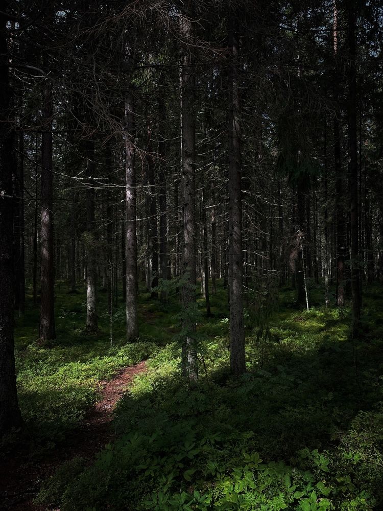 Photograph by Sergei Komlev