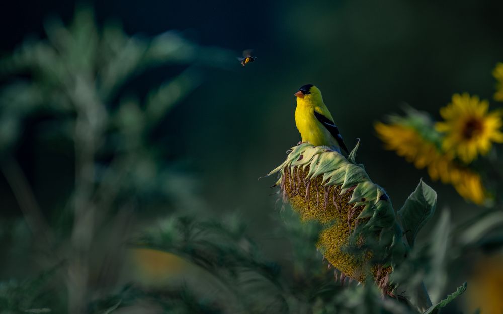 An Unspoken Conversation