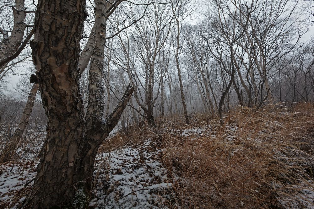 Фотография автора Уткин Дмитрий
