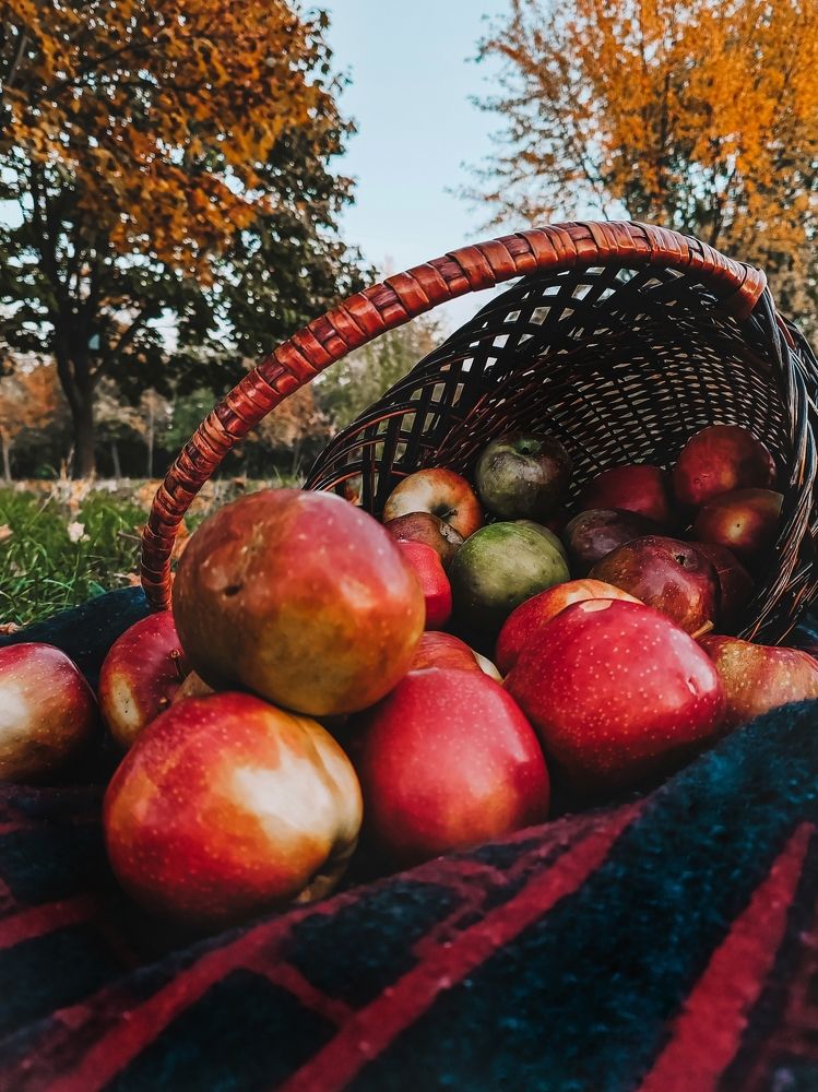 Фотография автора Любовь