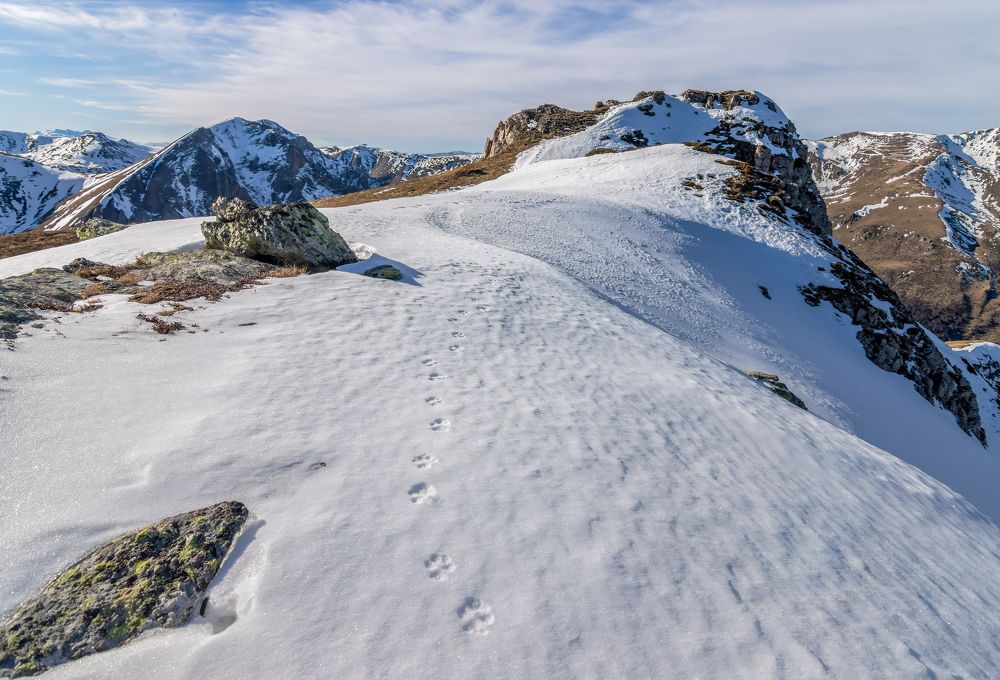 Photograph by Sajkovski Dejan