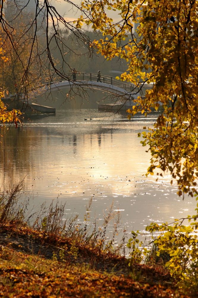 Фотография автора Александр Кожевников