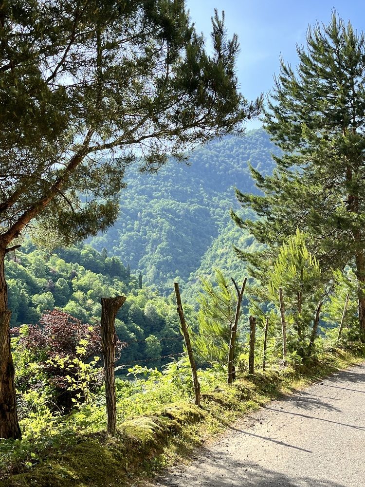 Photograph by Siarhei Saladukhin