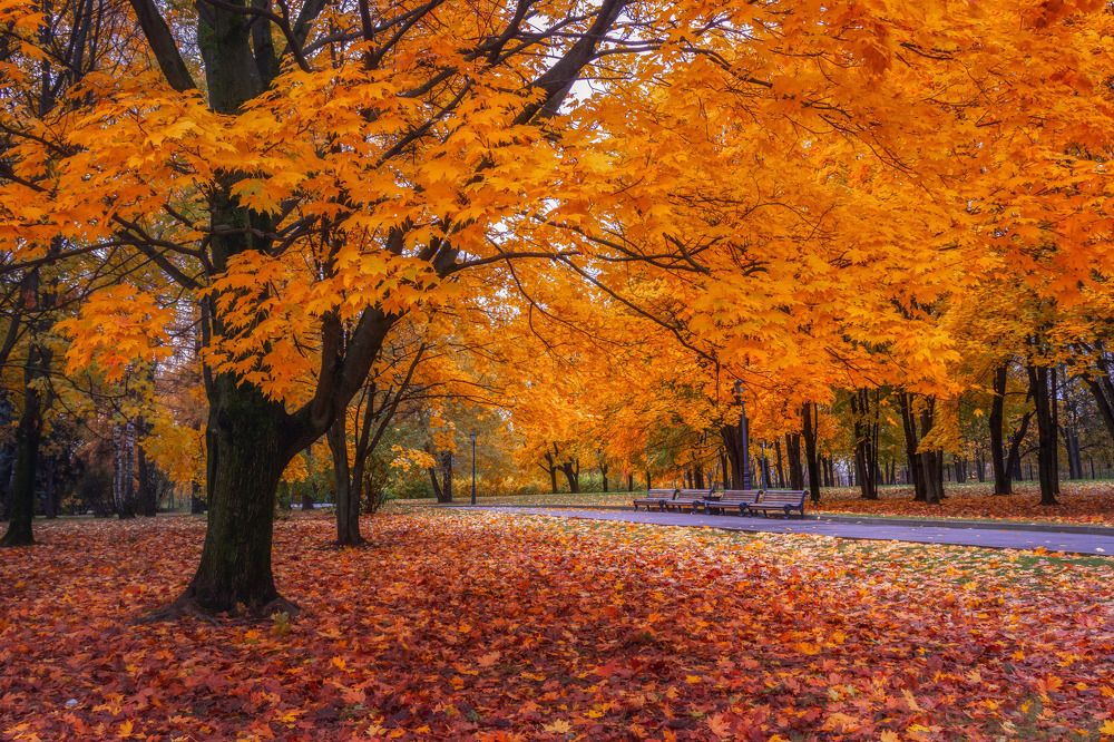 Photograph by Сережин Сережа