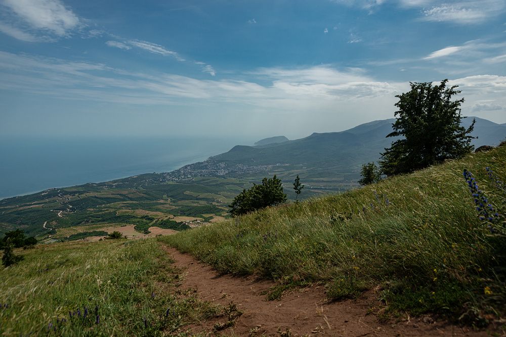 Дико  и красиво