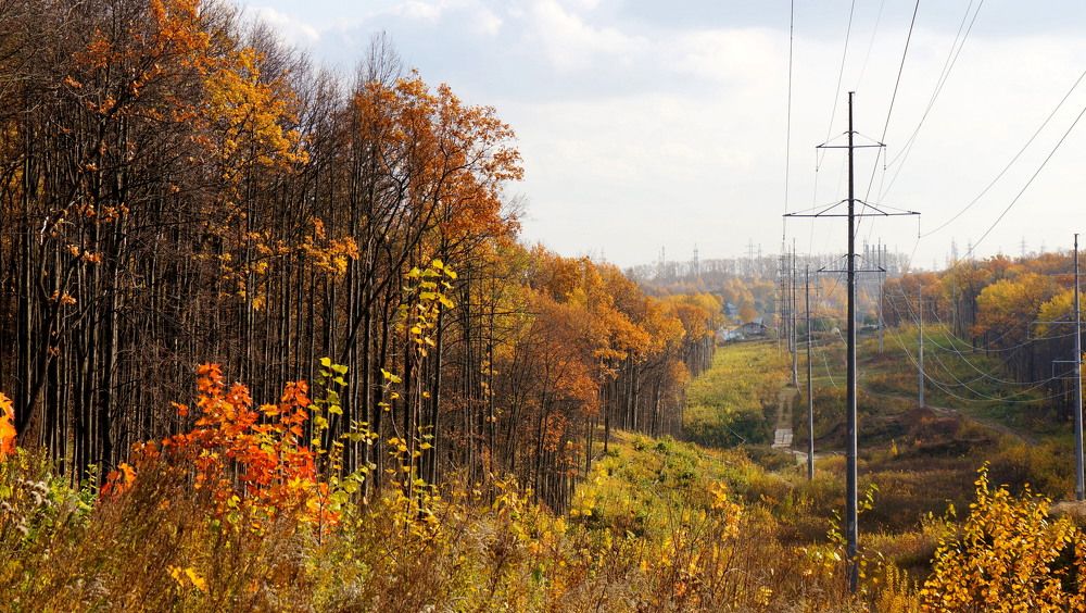 Photograph by Блюмина Елена