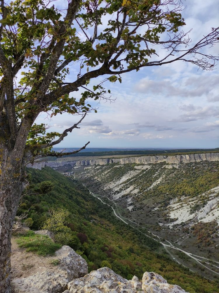 Photograph by Елена