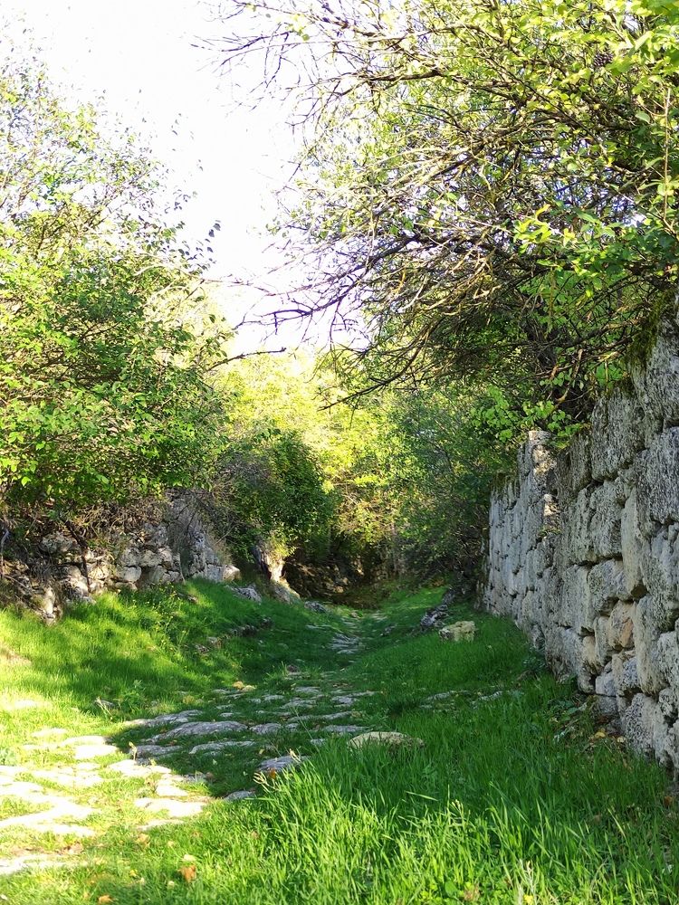 Photograph by Елена