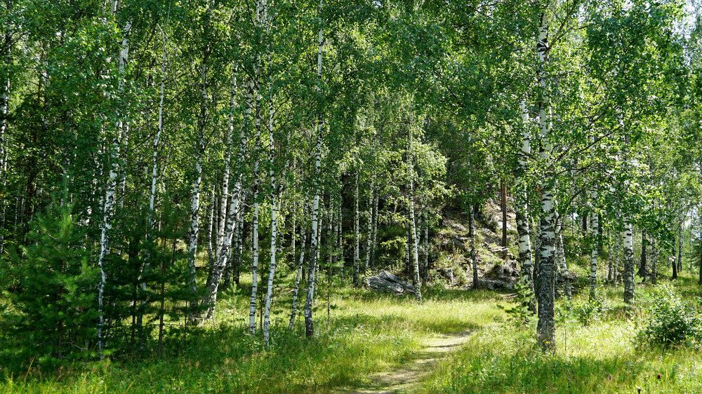 Photograph by Блюмина Елена