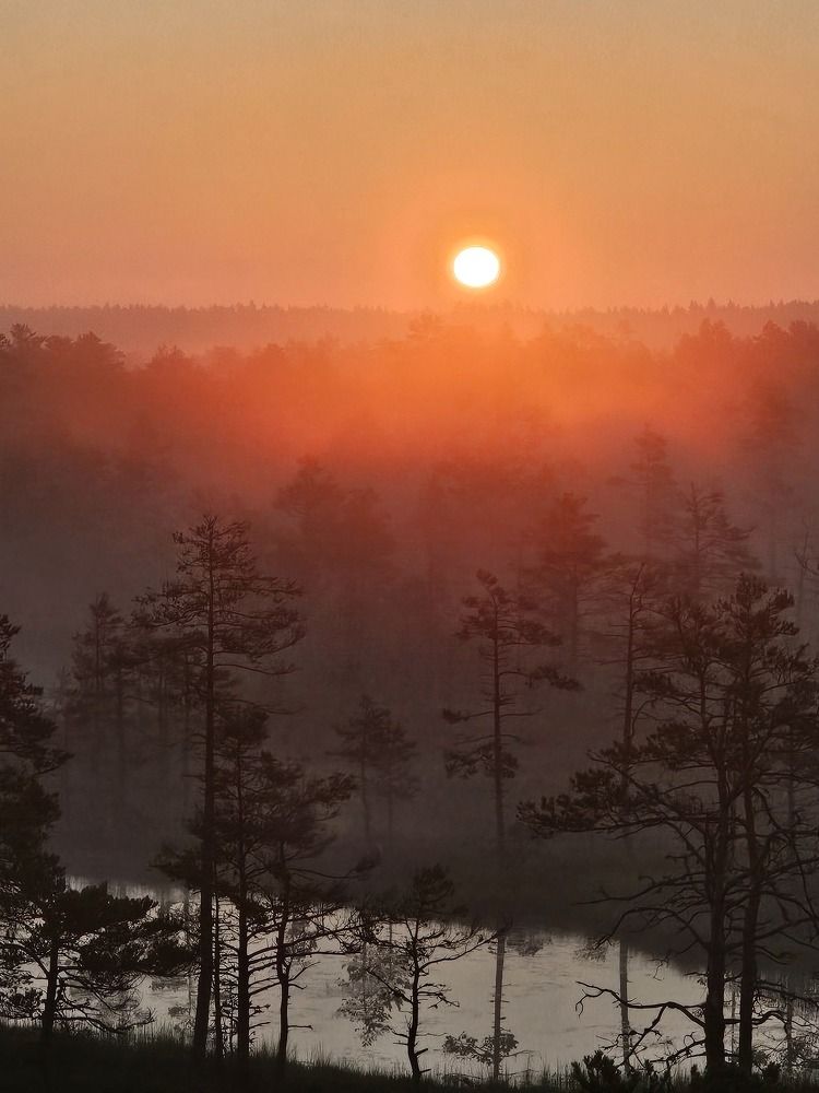 Photograph by Elena Neprosh