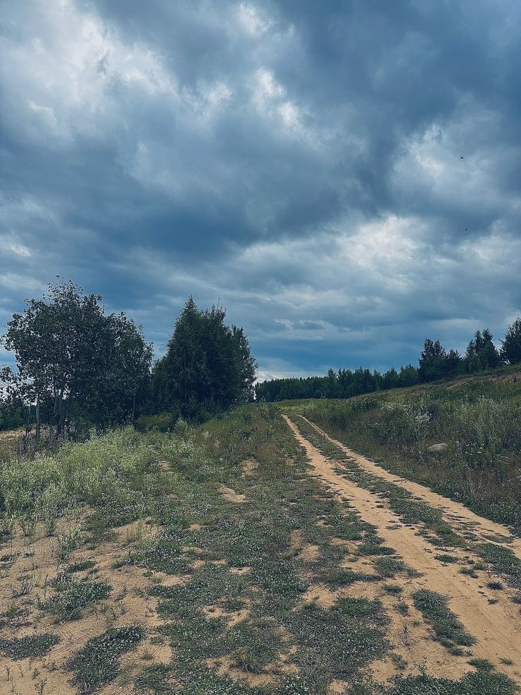 Photograph by Диана Бадеева