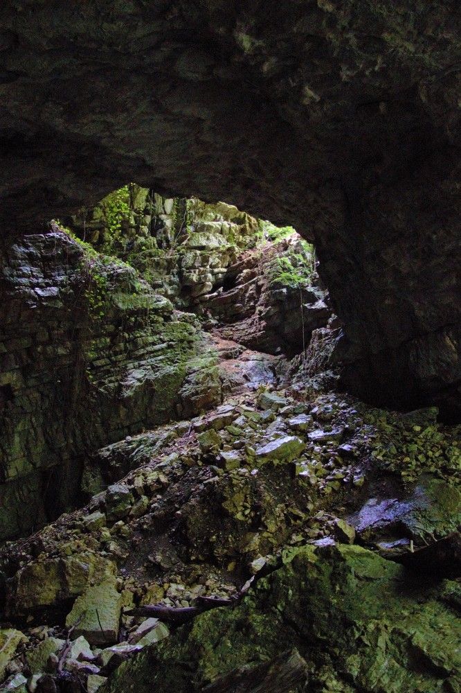 Photograph by Анна Авилочкина