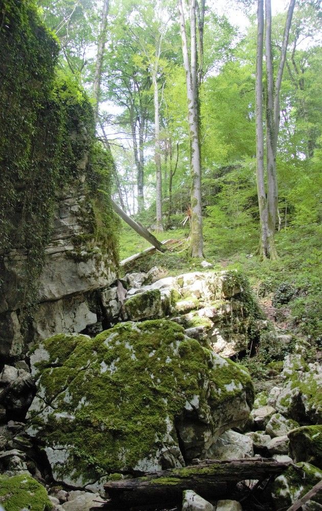 Photograph by Анна Авилочкина