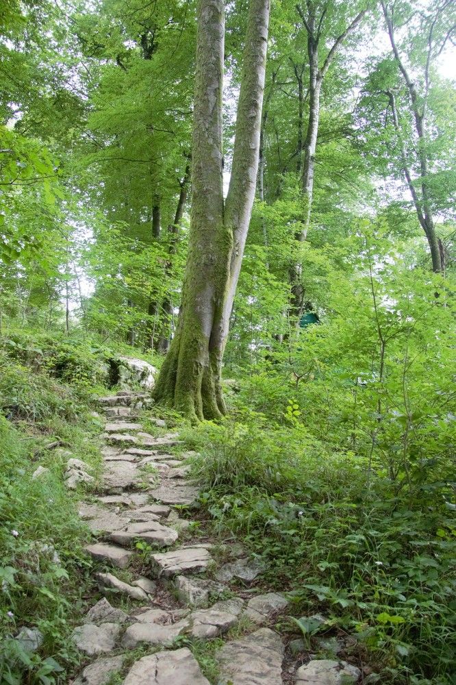 Photograph by Анна Авилочкина