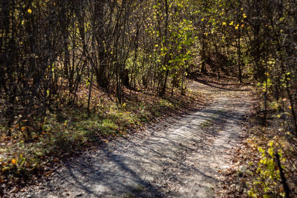 Старая дорога