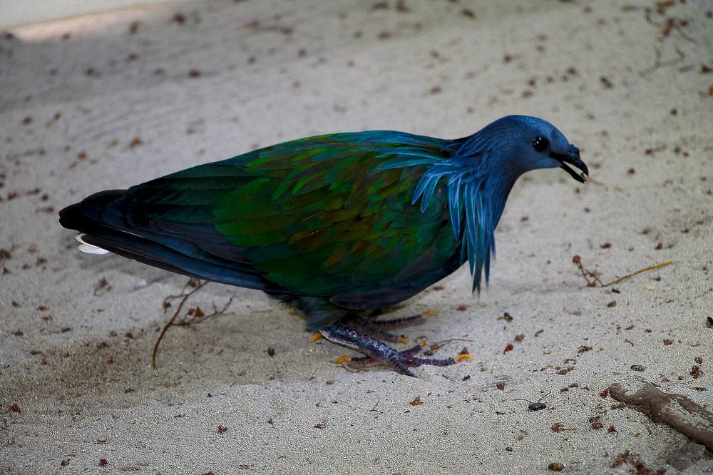 Photograph by Олег Филиппов