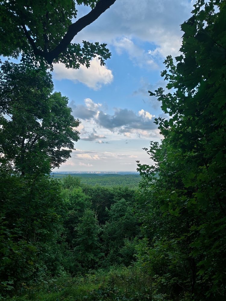 Photograph by Manan Raval