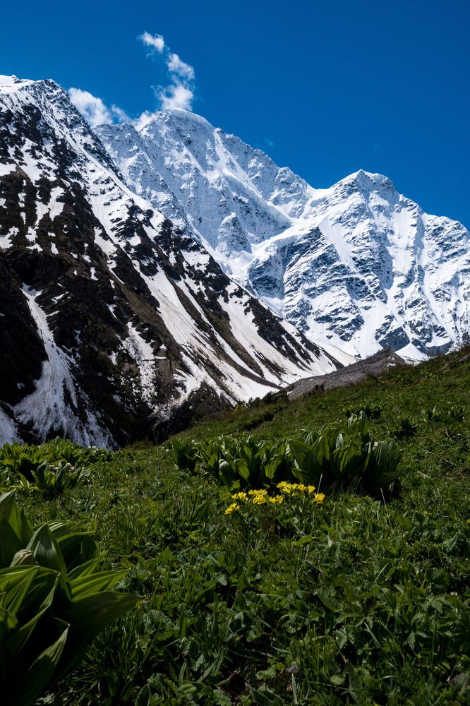 Photograph by Даниил Пузаков