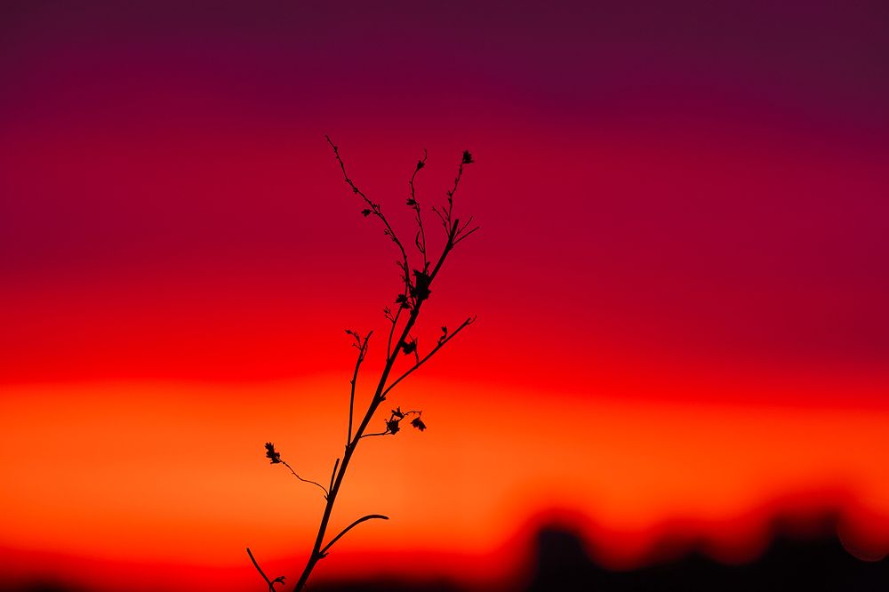 Закатный минимализм