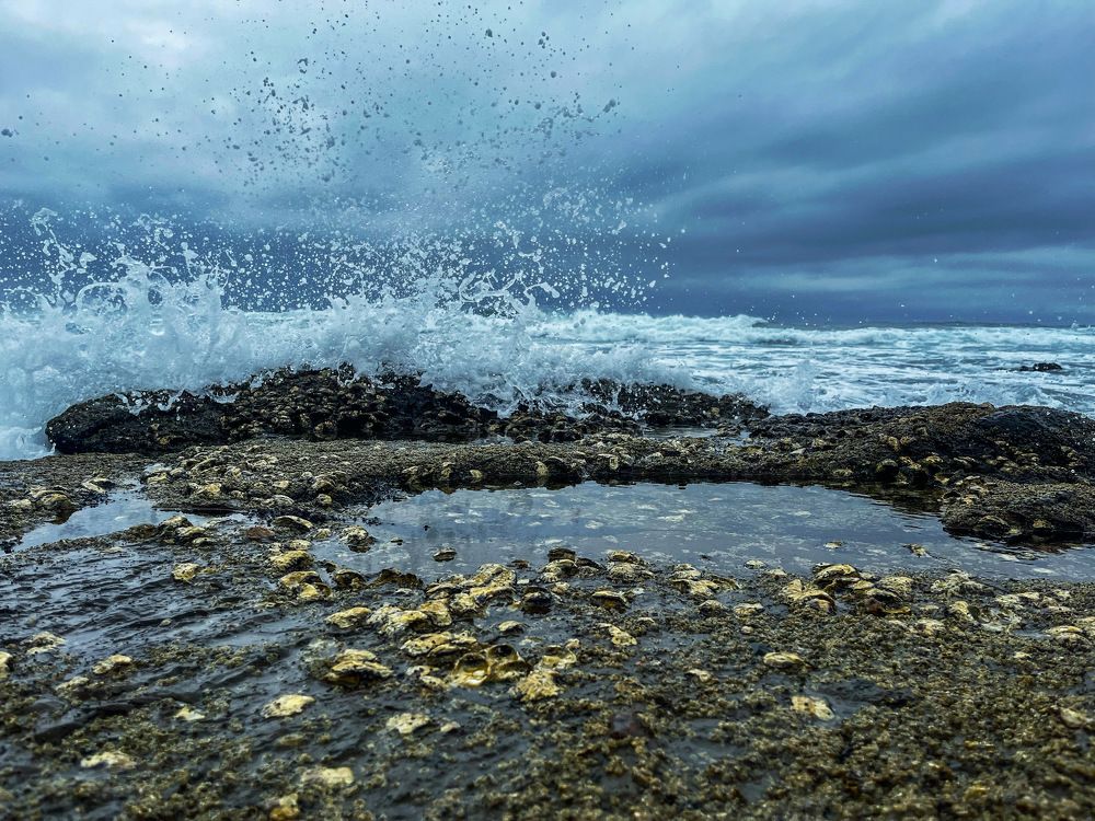 Photograph by Joseph Marthinus Titus