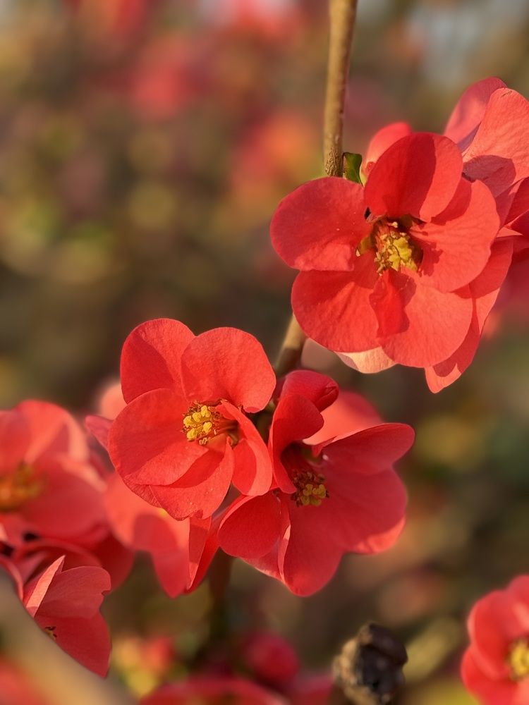 Photograph by Marianna Zakirova