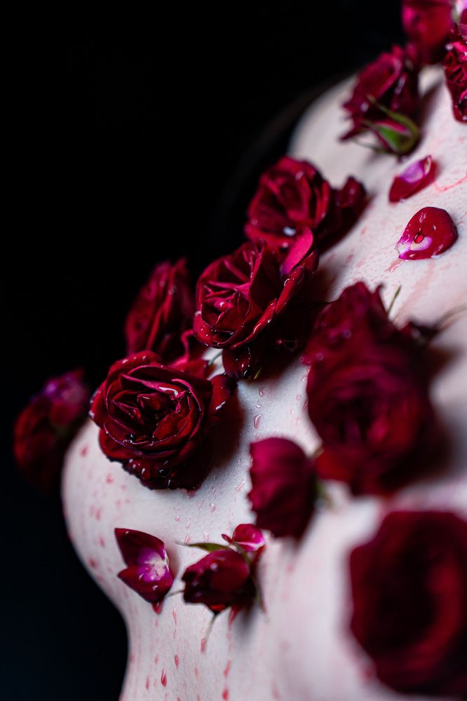 Photograph by Щебланов Виктор