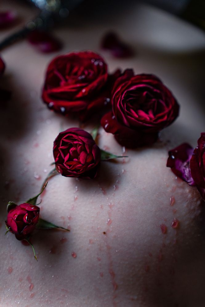 Photograph by Щебланов Виктор