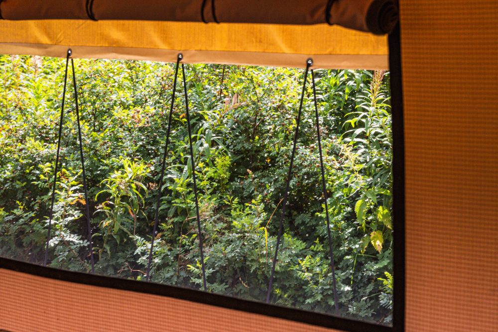 Photograph by Александра Лаврентьева