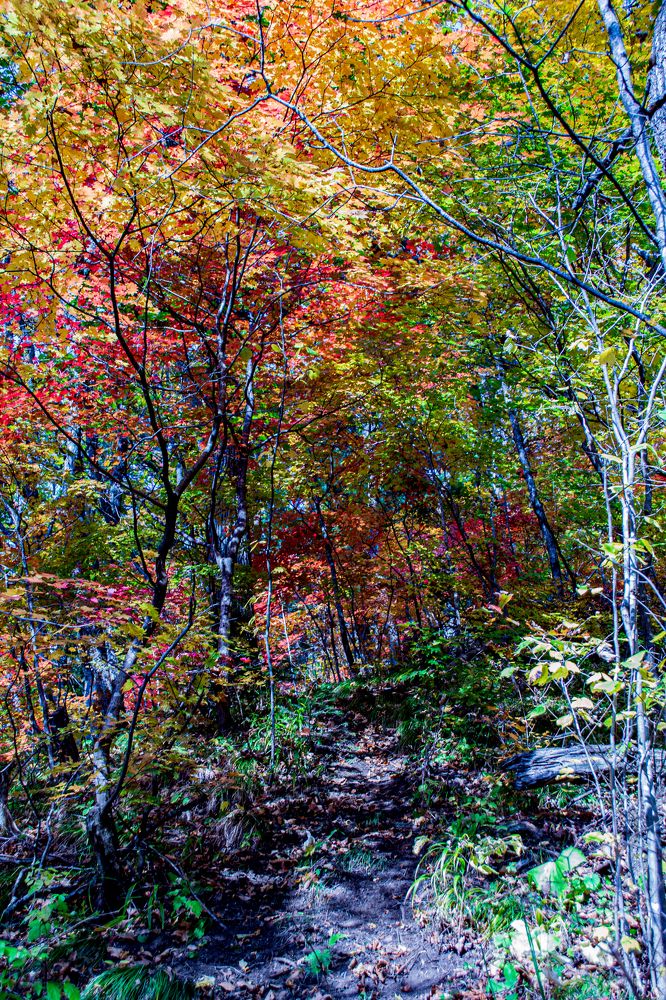 Photograph by Igor Savchenko