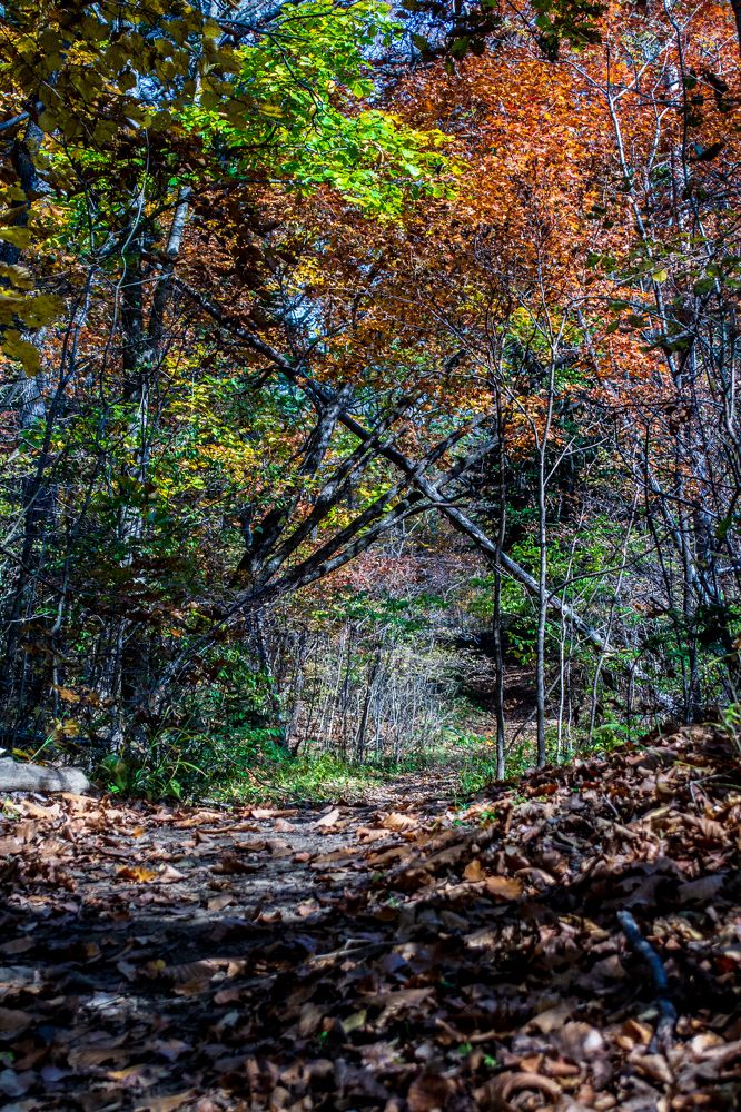 Photograph by Igor Savchenko