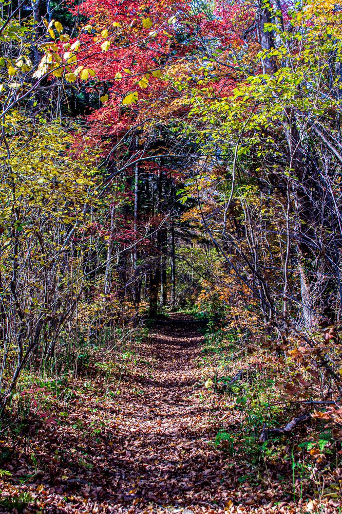 Photograph by Igor Savchenko