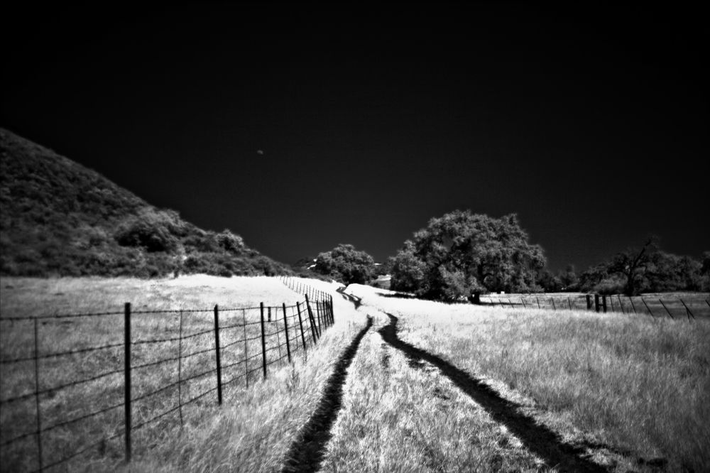 Photograph by Oleg Ы