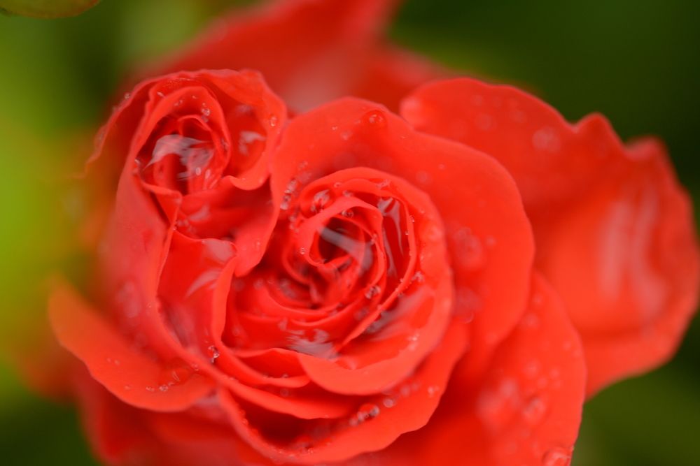 Photograph by Татьяна Кужаниязова