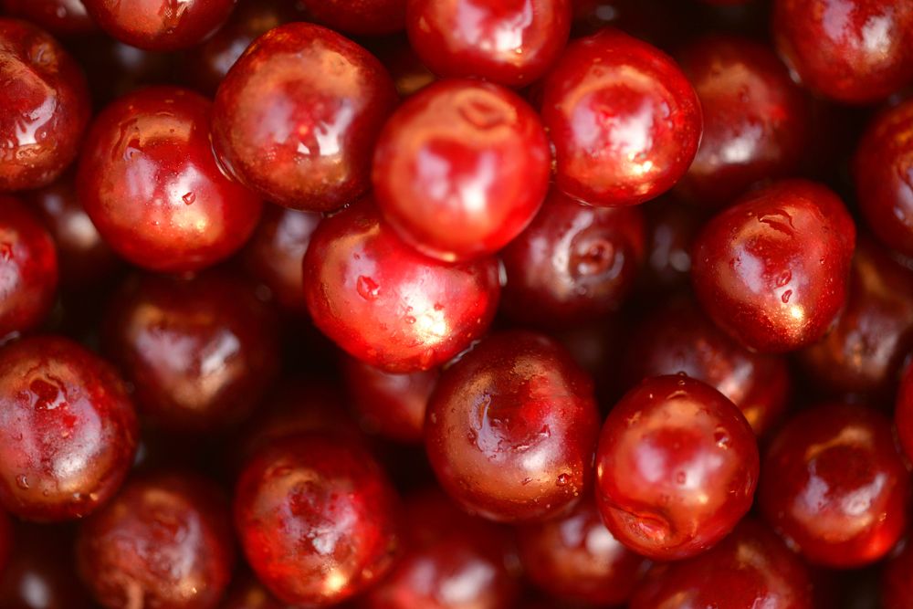 Photograph by Татьяна Кужаниязова